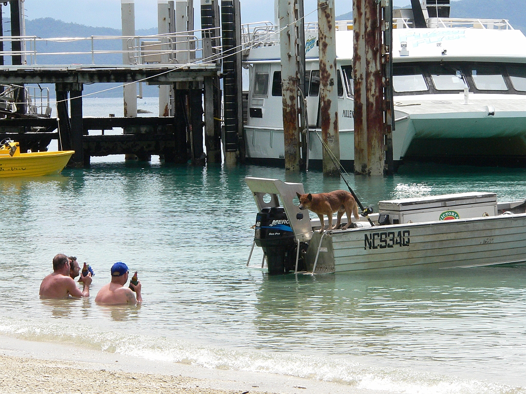 131 Fitzroy Island.jpg